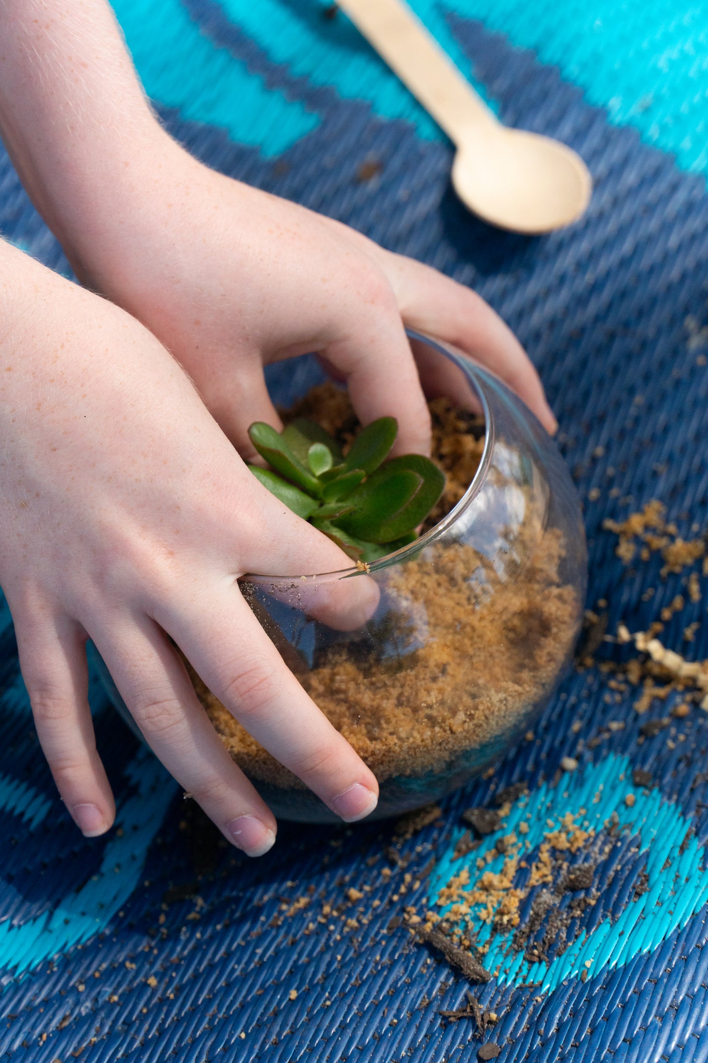 A young boy gently presses down his jade succulent plant from his EnviroMentoring Desert Terrarium DIY Kit after he covered the soil with sand.