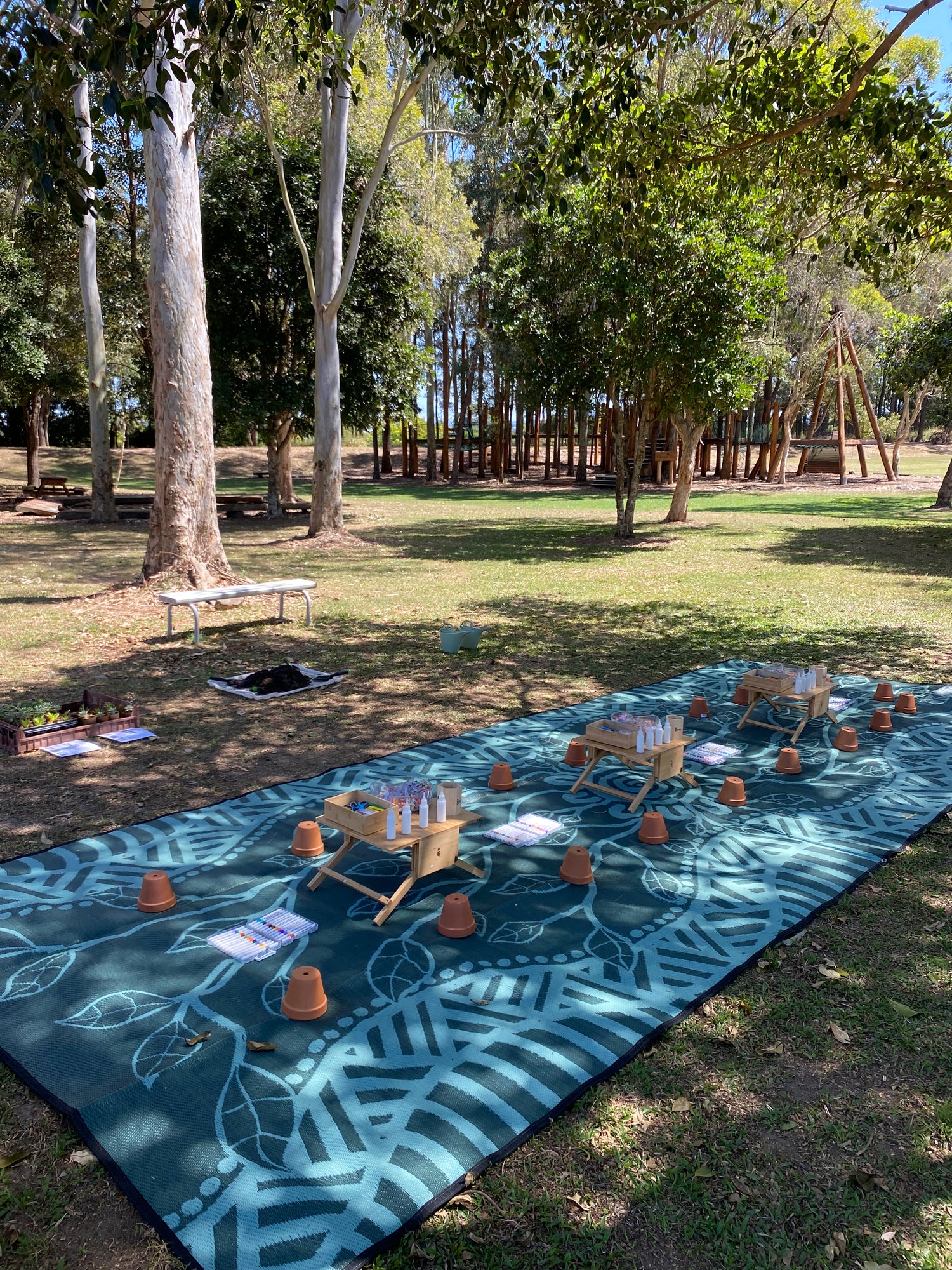Workshop set-up for the EnviroMentoring Plant and Sip workshop at Redeemer OSHC.