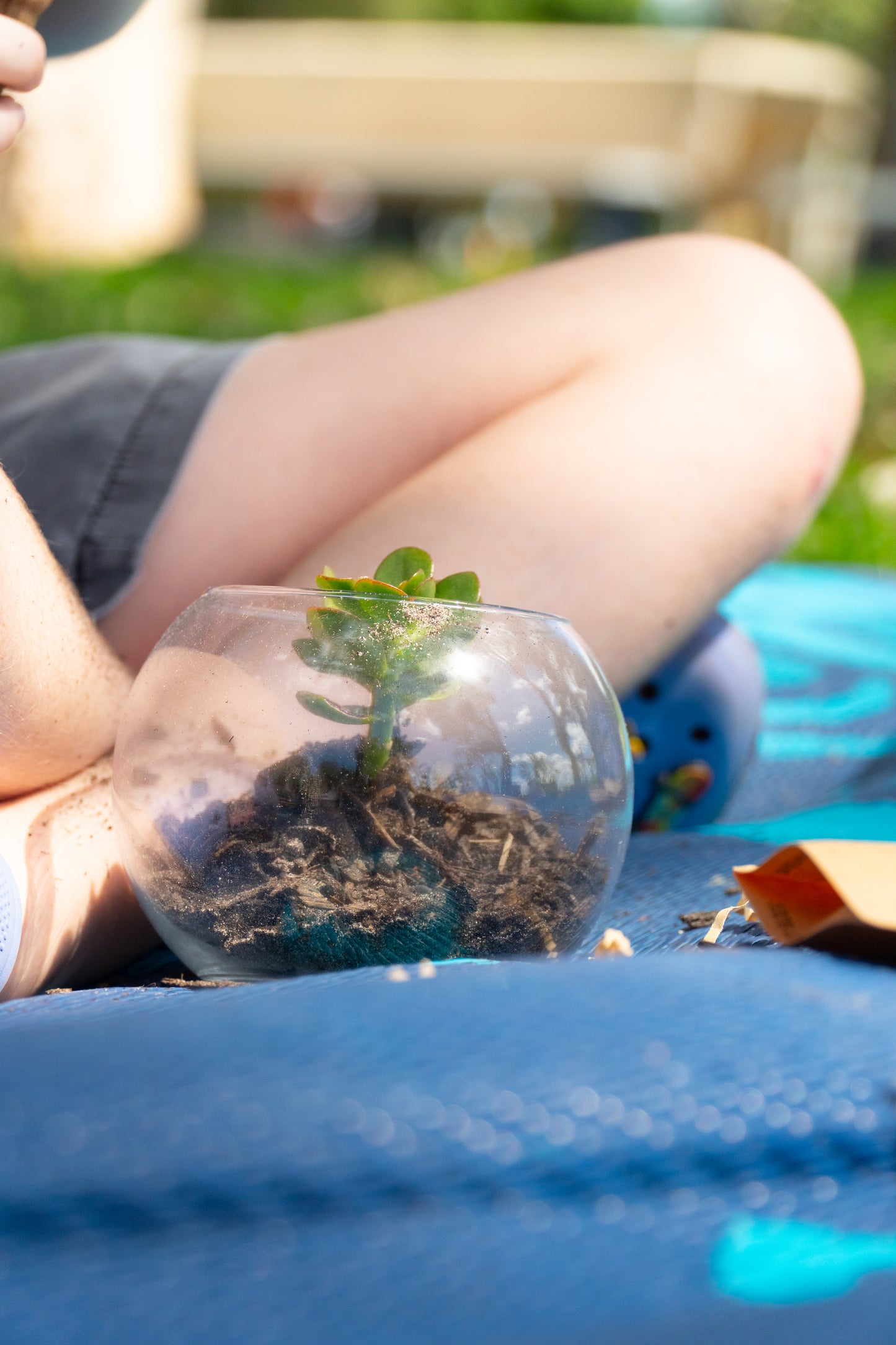 A young boy has planted a jade succulent into his EnviroMentoring Desert Terrarium DIY Kit and will cover it with soil, sand and decorations.