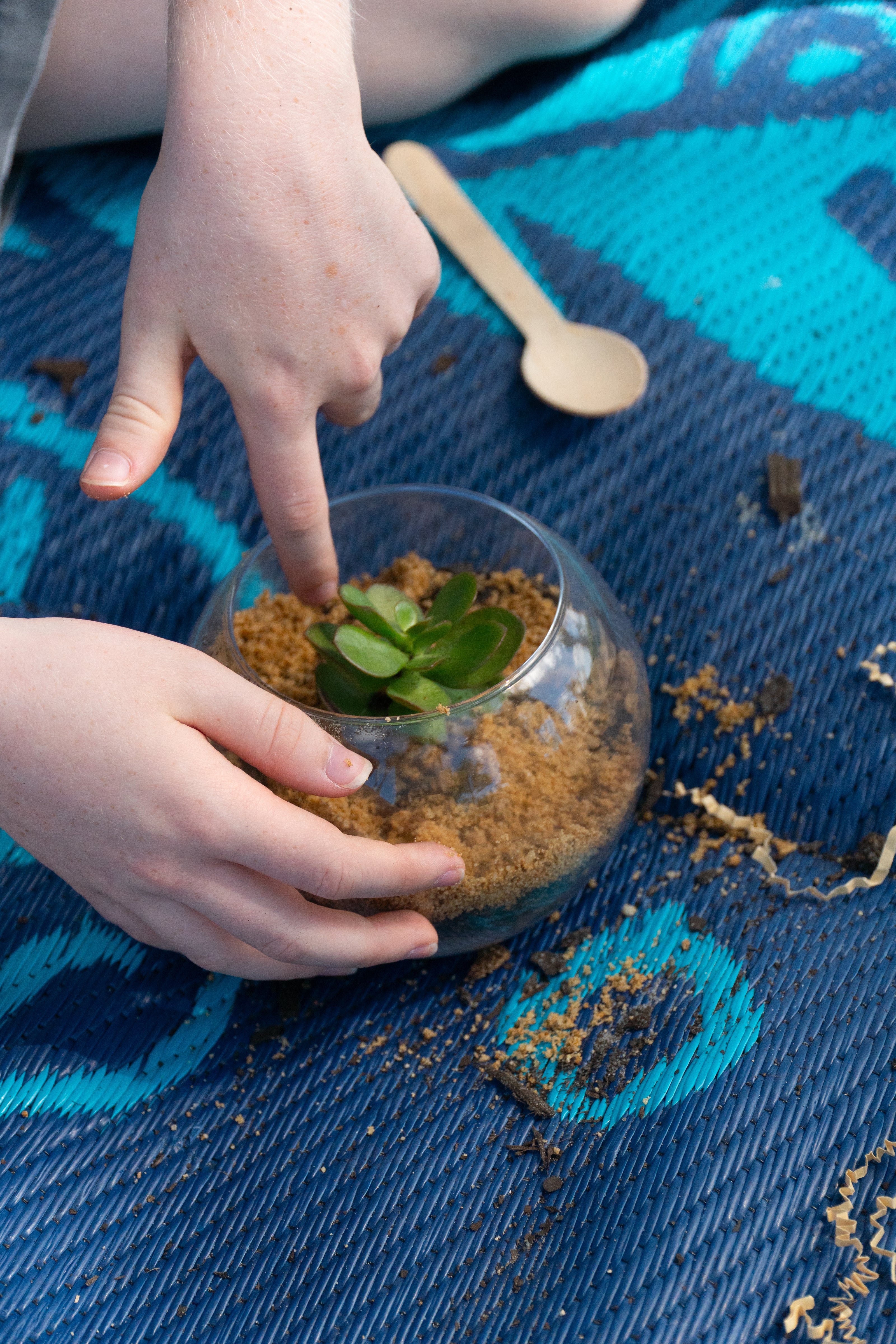 A boy excitedly points at the succulent plant and decorations in his EnviroMentoring Desert Terrarium DIY Kit.