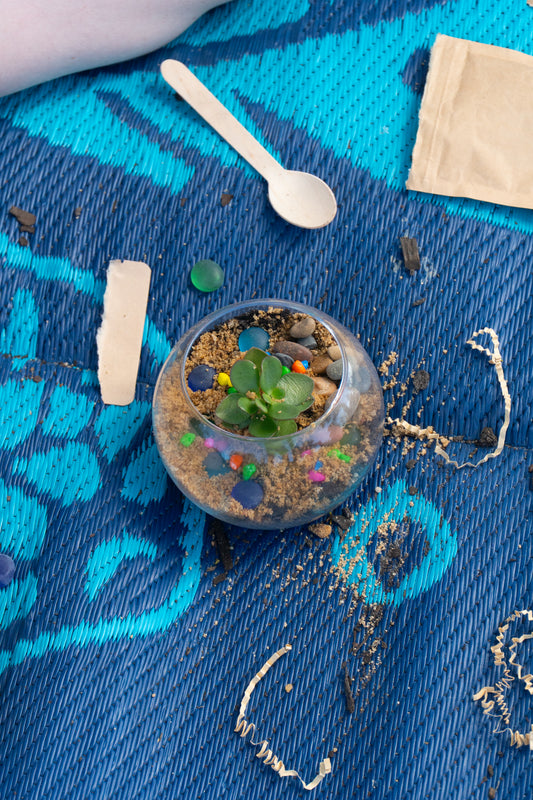 Desert Terrarium DIY Kit | Kids Succulent Gardening Gift