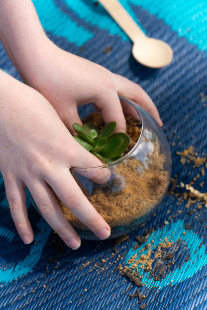 A young boy gently presses down his jade succulent plant from his EnviroMentoring Desert Terrarium DIY Kit after he covered the soil with sand.