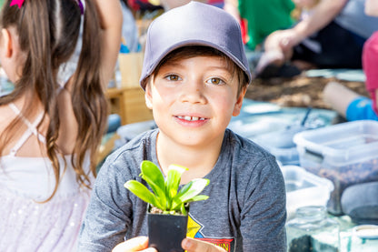 Terrarium Building DIY Kit | Kids Indoor Gardening Activity