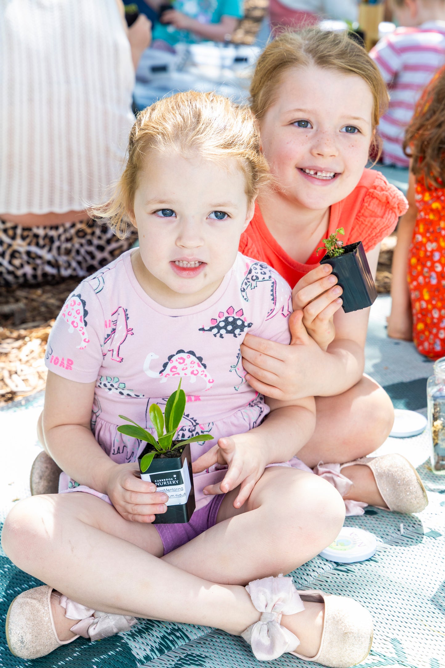 Terrarium Building DIY Kit | Kids Indoor Gardening Activity