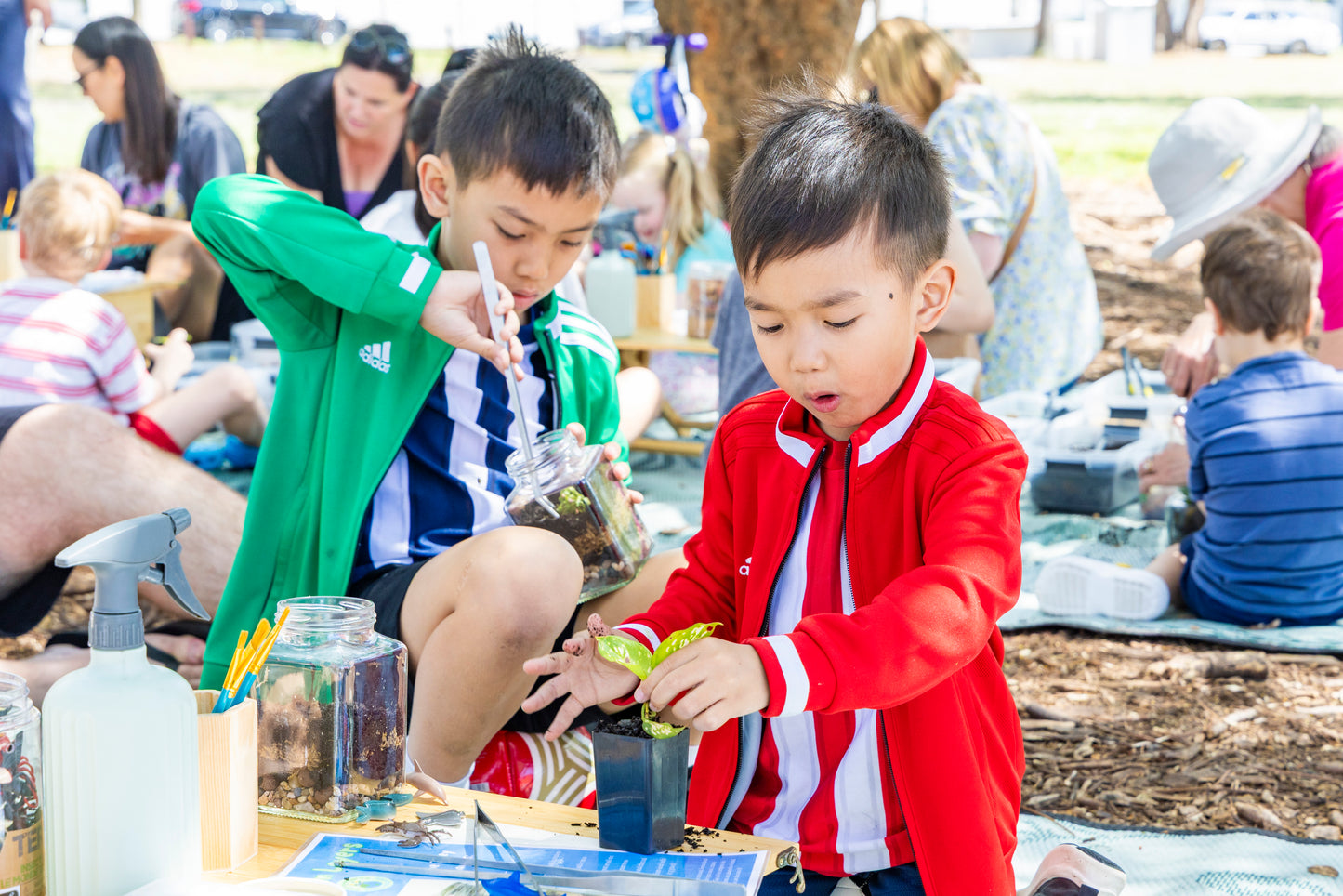 Terrarium Building DIY Kit | Kids Indoor Gardening Activity