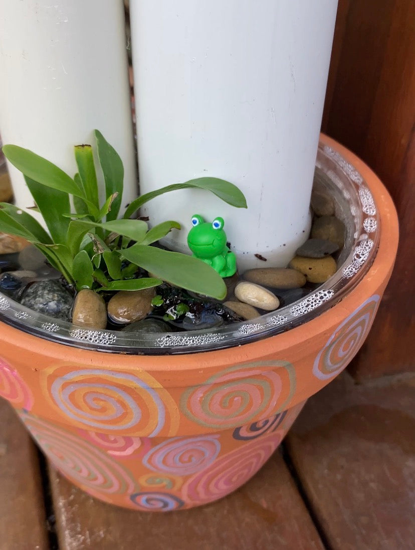 Frog Lodge DIY Kit | Kids Frog Hotel Activity