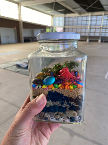 Terrarium Building DIY Kit | Kids Indoor Gardening Activity