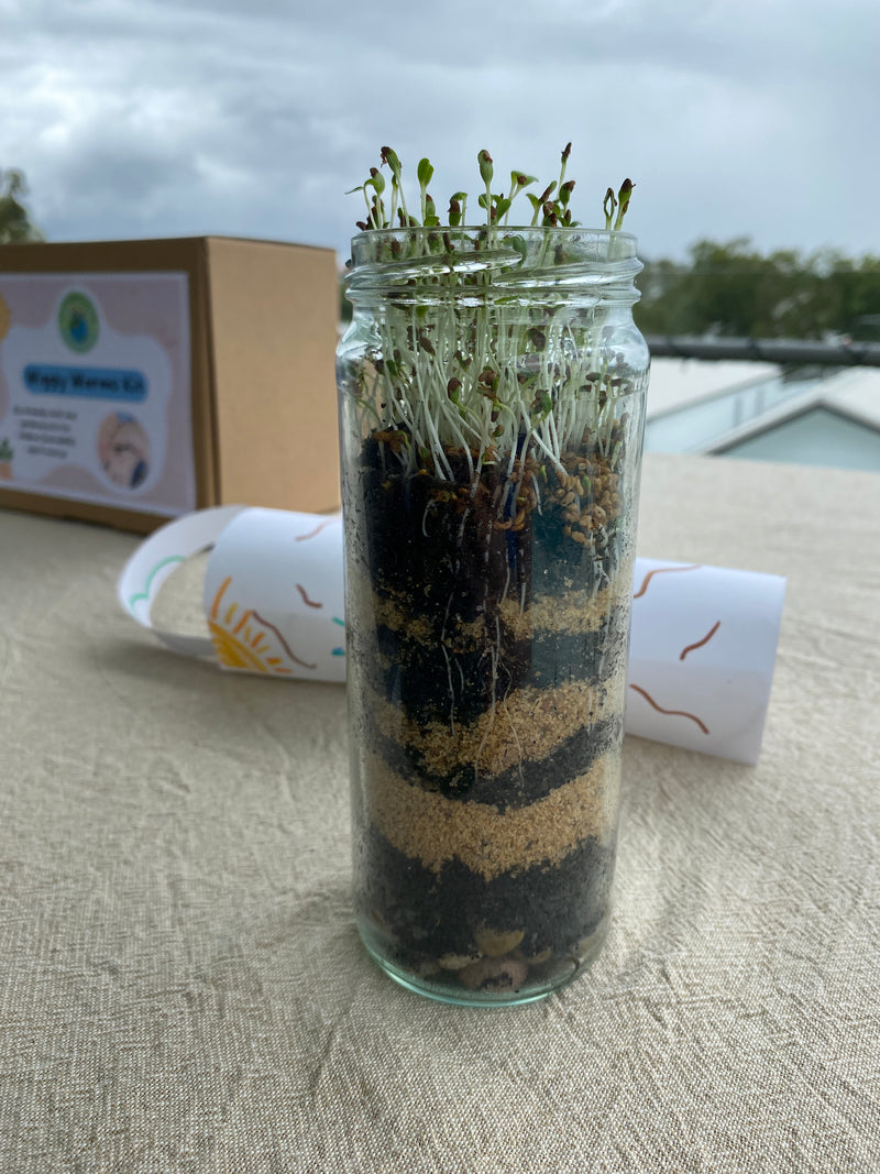 Completed EnviroMentoring Wiggly Worms DIY Kit with alfalfa sprouting from the top and visible roots and worm tracks.