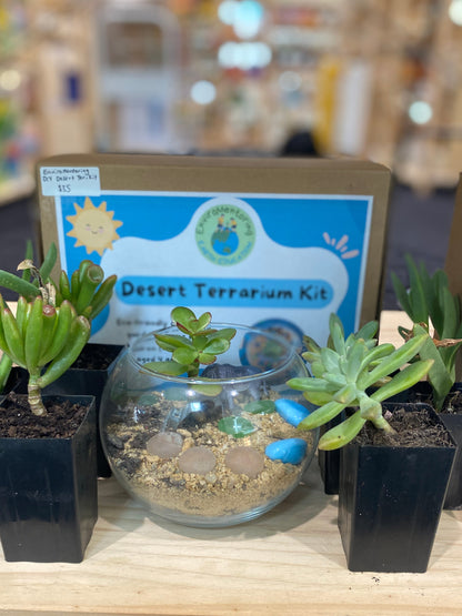 Desert terrarium kit with small plants on a wooden surface