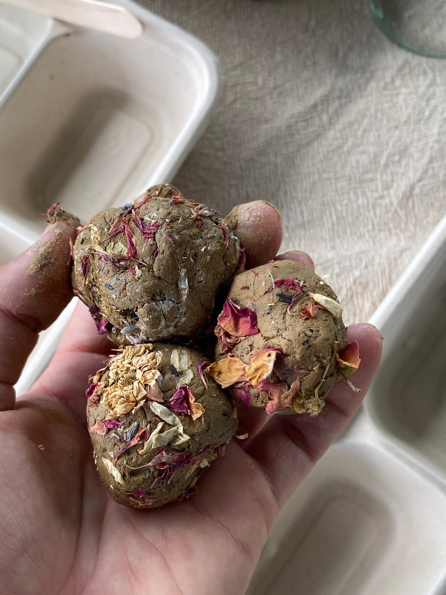 Seed Surprise DIY Kit | Kids Outdoor Gardening Gift