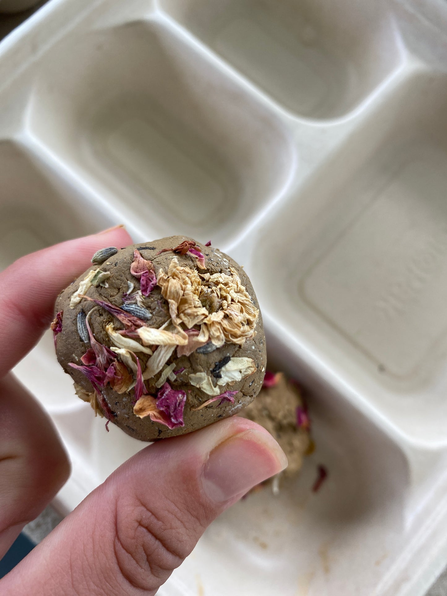 Seed Surprise DIY Kit | Kids Outdoor Gardening Gift