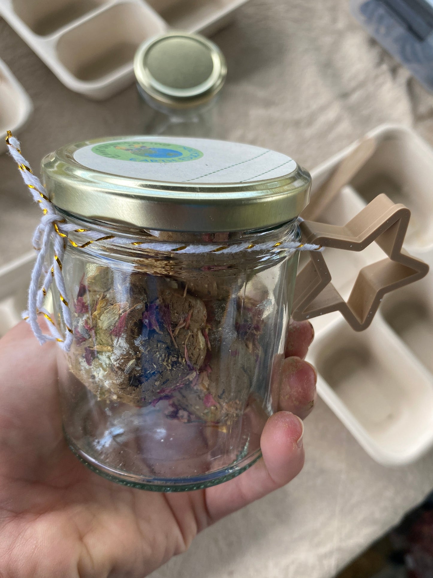 Seed Surprise DIY Kit | Kids Outdoor Gardening Gift